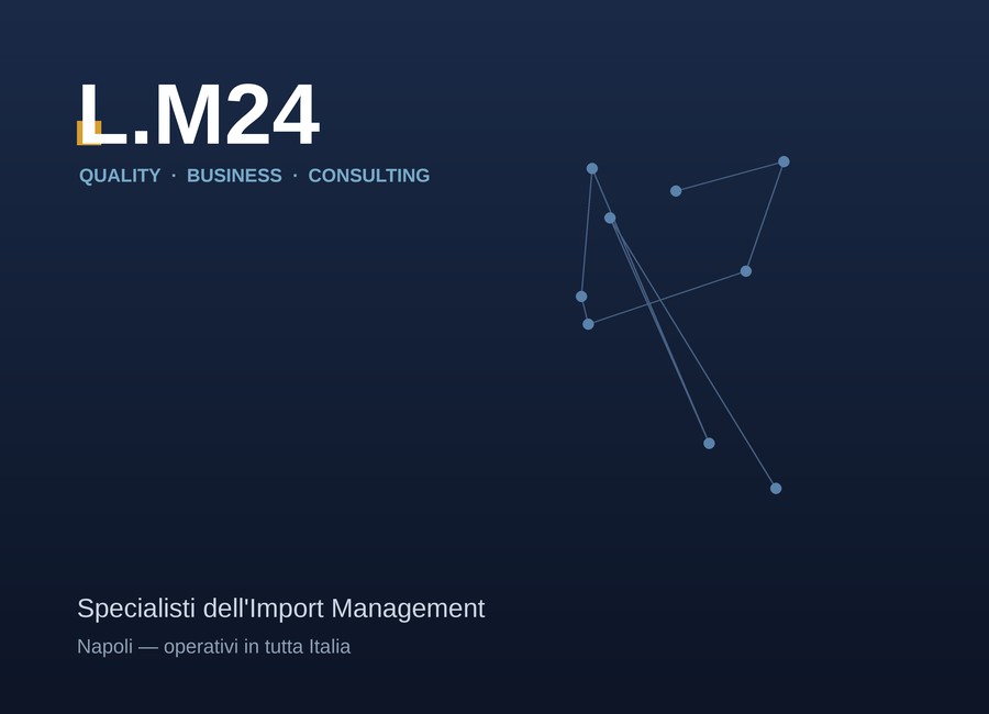 Sito web LM24